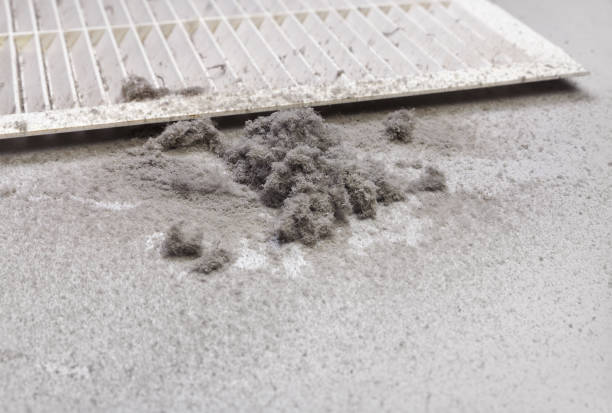 Best Air Vent Cleaning Services  in Lake Lorelei, OH