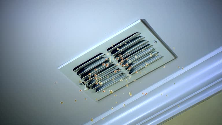 Best Ductwork Cleaning Services  in Lake Lorelei, OH
