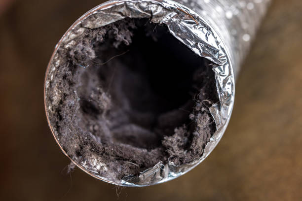 Best Residential Air Duct Cleaning  in Lake Lorelei, OH