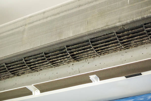 Best Local Air Duct Cleaning Services  in Lake Lorelei, OH